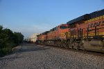 BNSF 4175 Roster shot